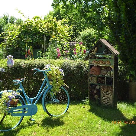 Bed & Bike Belfiore Montagnana  Bagian luar foto