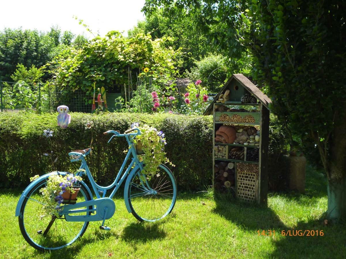 Bed & Bike Belfiore Montagnana  Bagian luar foto